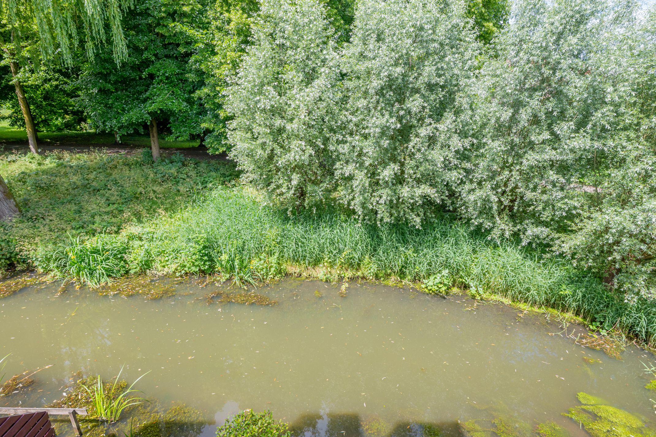 Foto 90 van Barmsijs 36