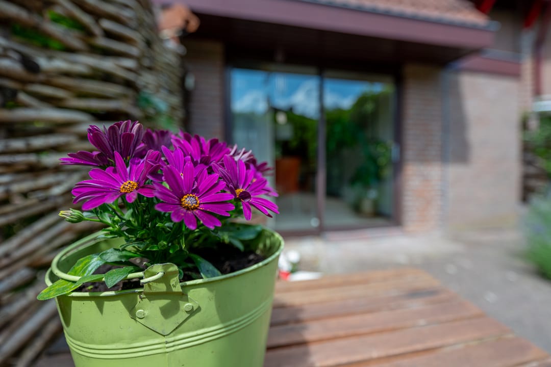 Foto 92 van Barmsijs 36