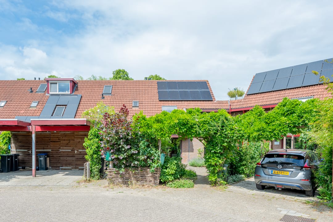 Foto 101 van Barmsijs 36