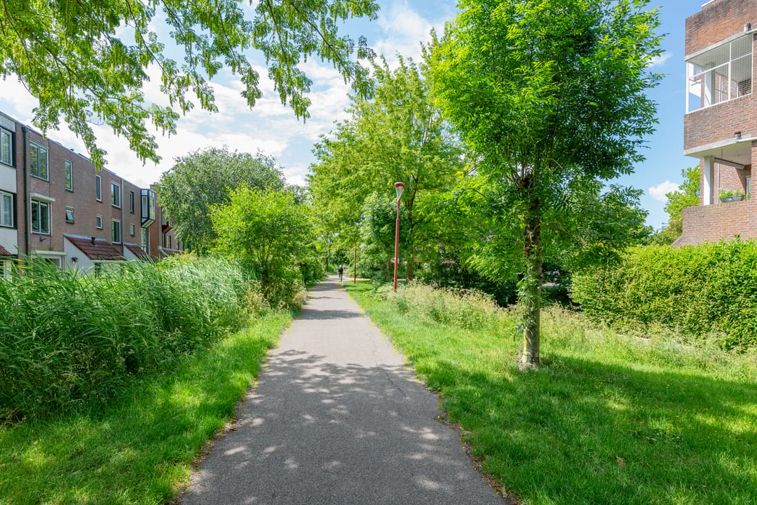 Foto 103 van Barmsijs 36