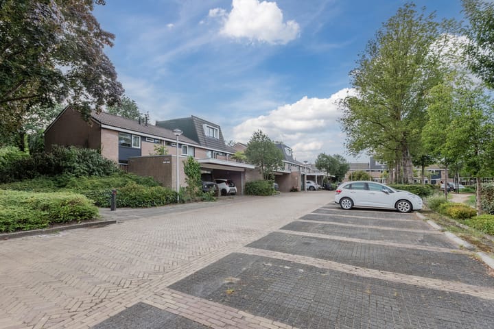 Foto 5 van Erasmuslaan