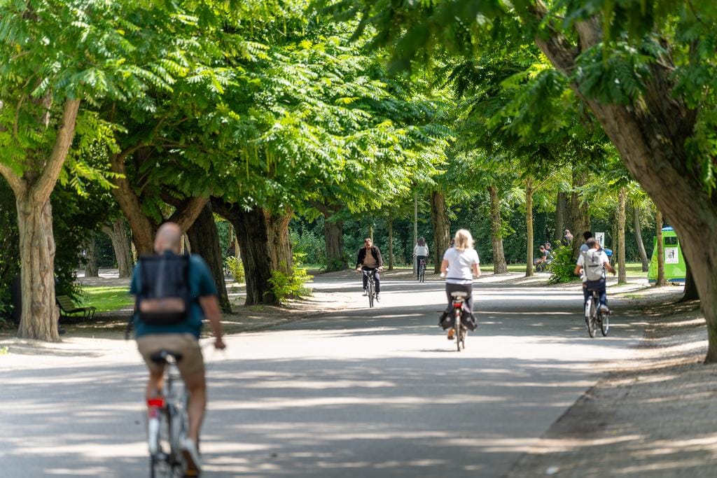 Foto 36 van Saxen-Weimarlaan 40-2