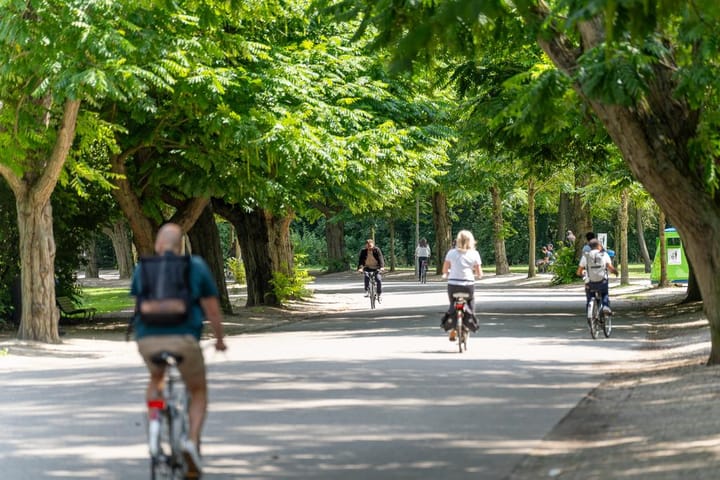 Foto 36 van Saxen-Weimarlaan 40-2