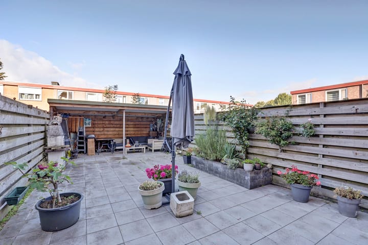 Foto 27 van Frambozentuin 3