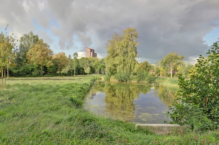 Foto 29 van Frambozentuin 3