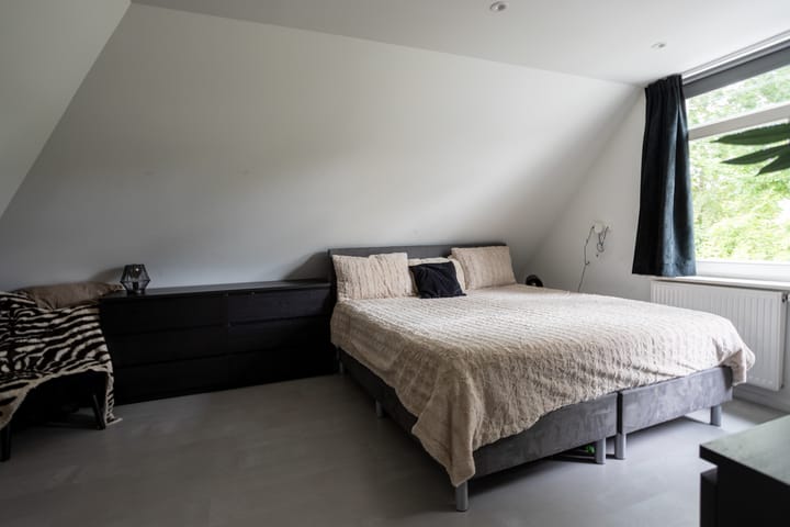 Foto 19 van Paltrokmolen 9