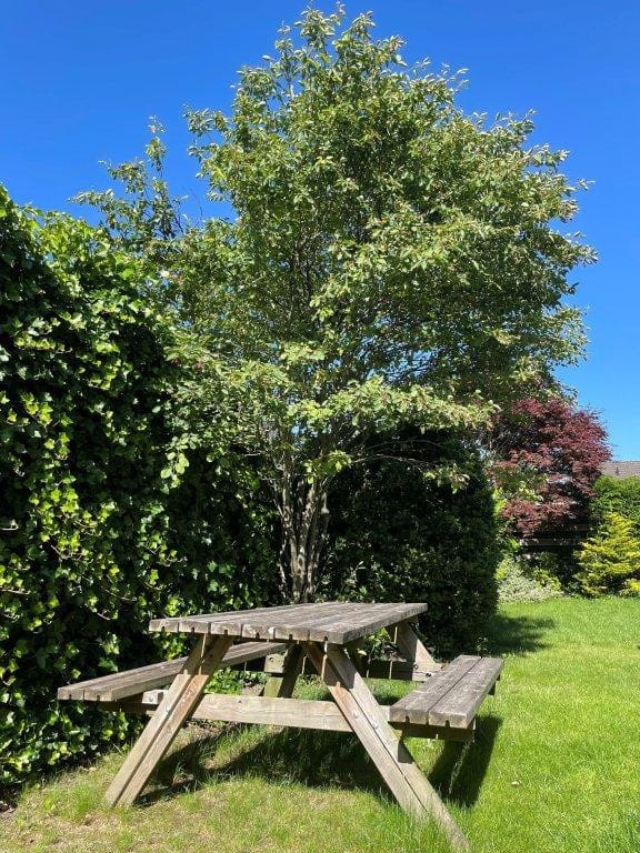 Foto 19 van Bremlaan 18