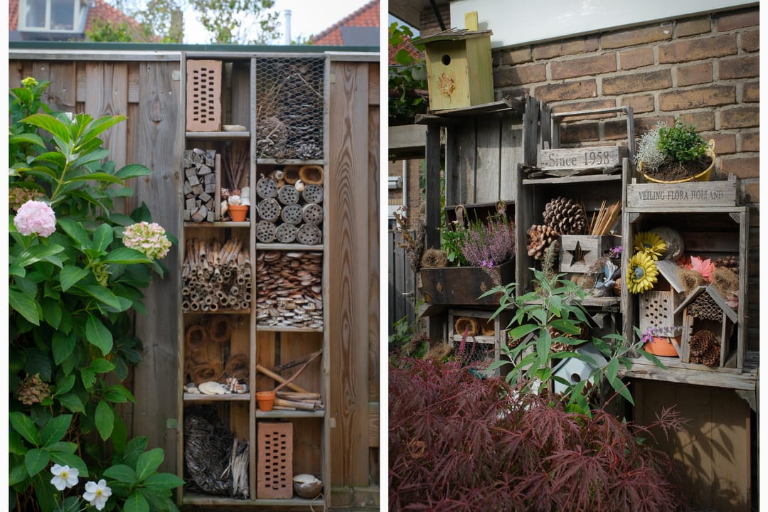 Photo 41 of Louisestraat 21