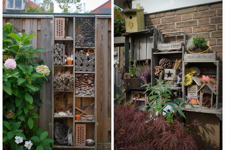 Foto 41 van Louisestraat 21