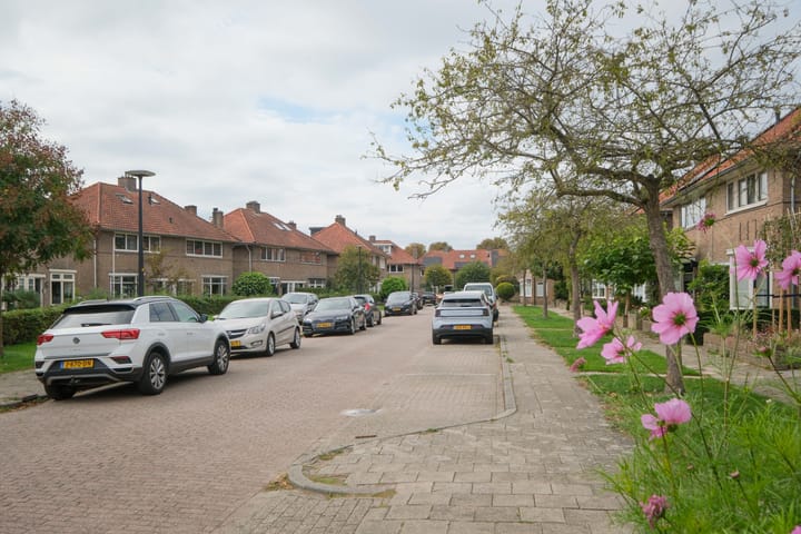 Foto 45 van Louisestraat 21