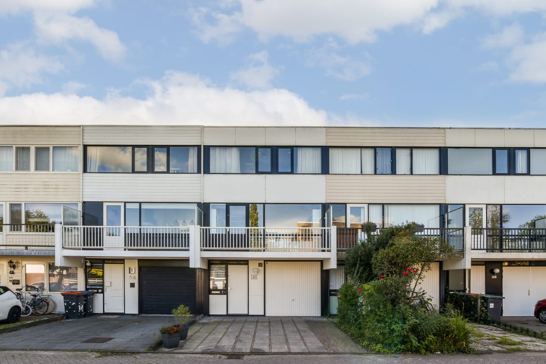 Foto 2 van Rode Klaver 42