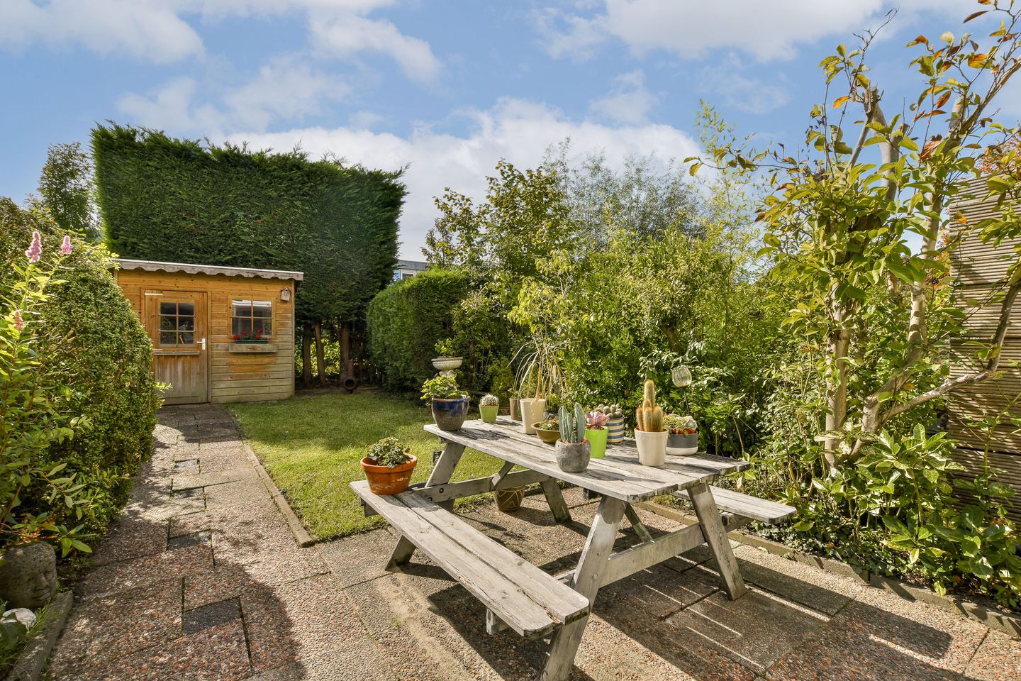 Foto 10 van Rode Klaver 42