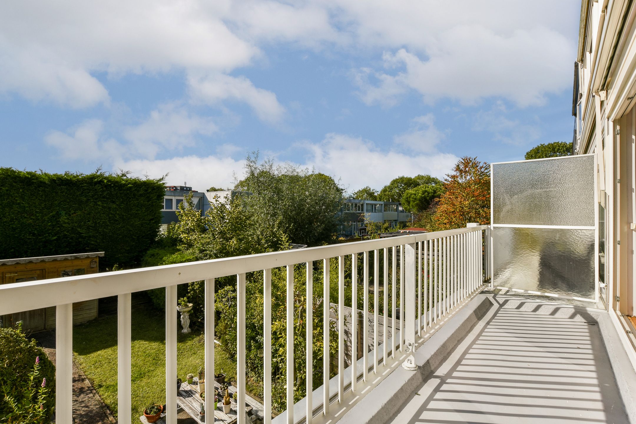 Foto 15 van Rode Klaver 42