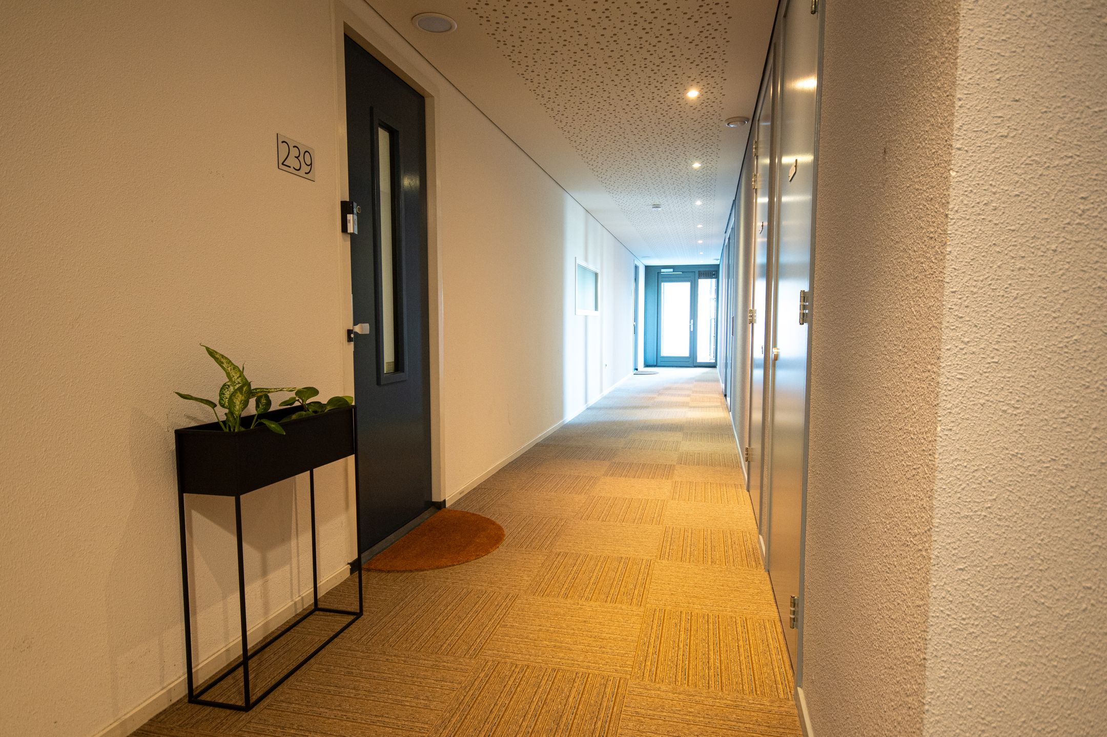 Foto 3 van Klaroenstraat 239