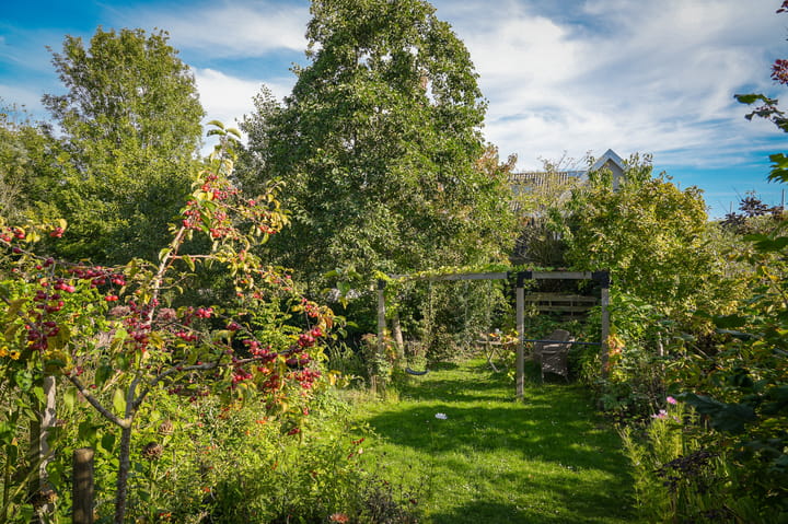 Foto 38 van Onderweg 4