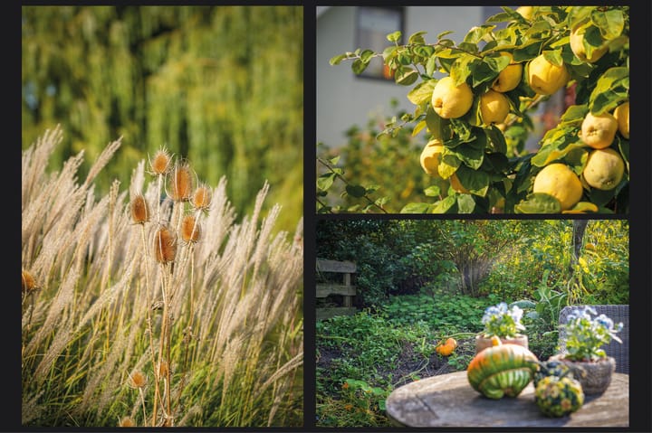 Foto 41 van Onderweg 4