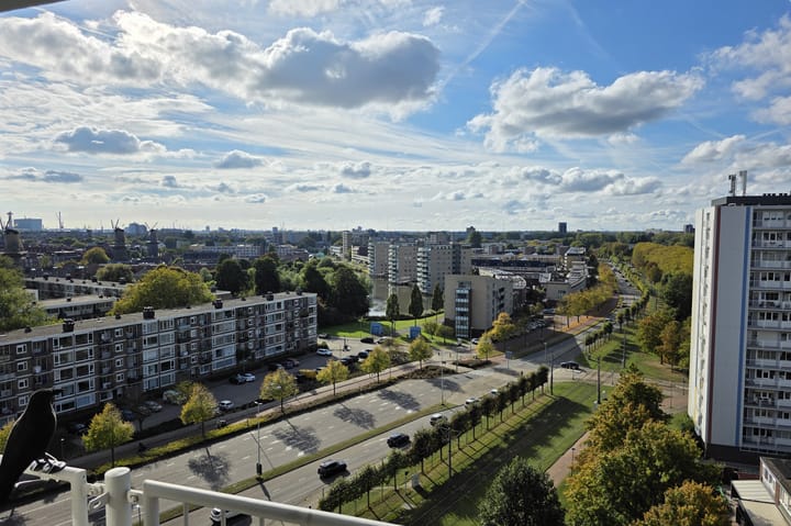 Photo 42 of Louis Raemaekersstraat 125