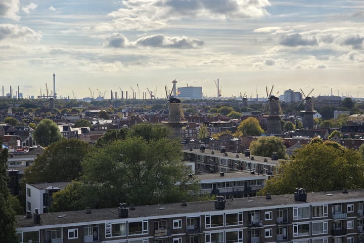 Photo 43 of Louis Raemaekersstraat 125