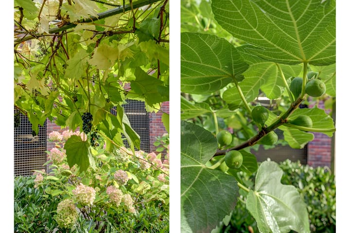 Photo 24 of Mathenesserstraat 163