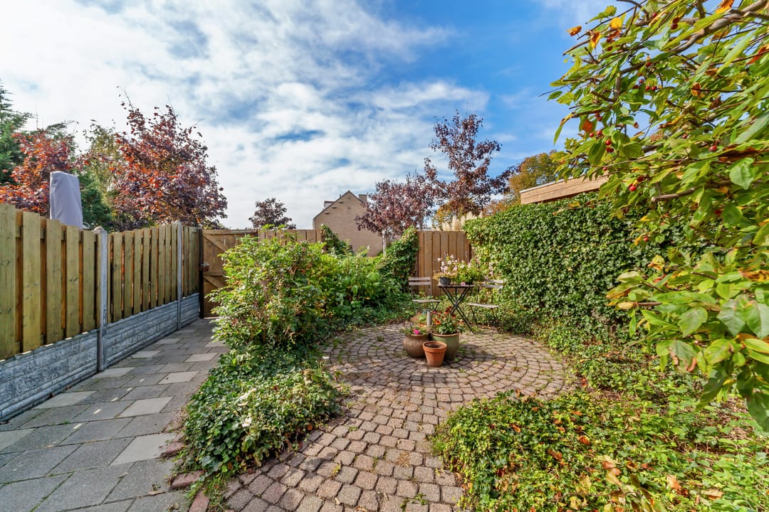 Photo 2 of Vlierboompad 16