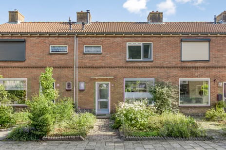 undefined main image