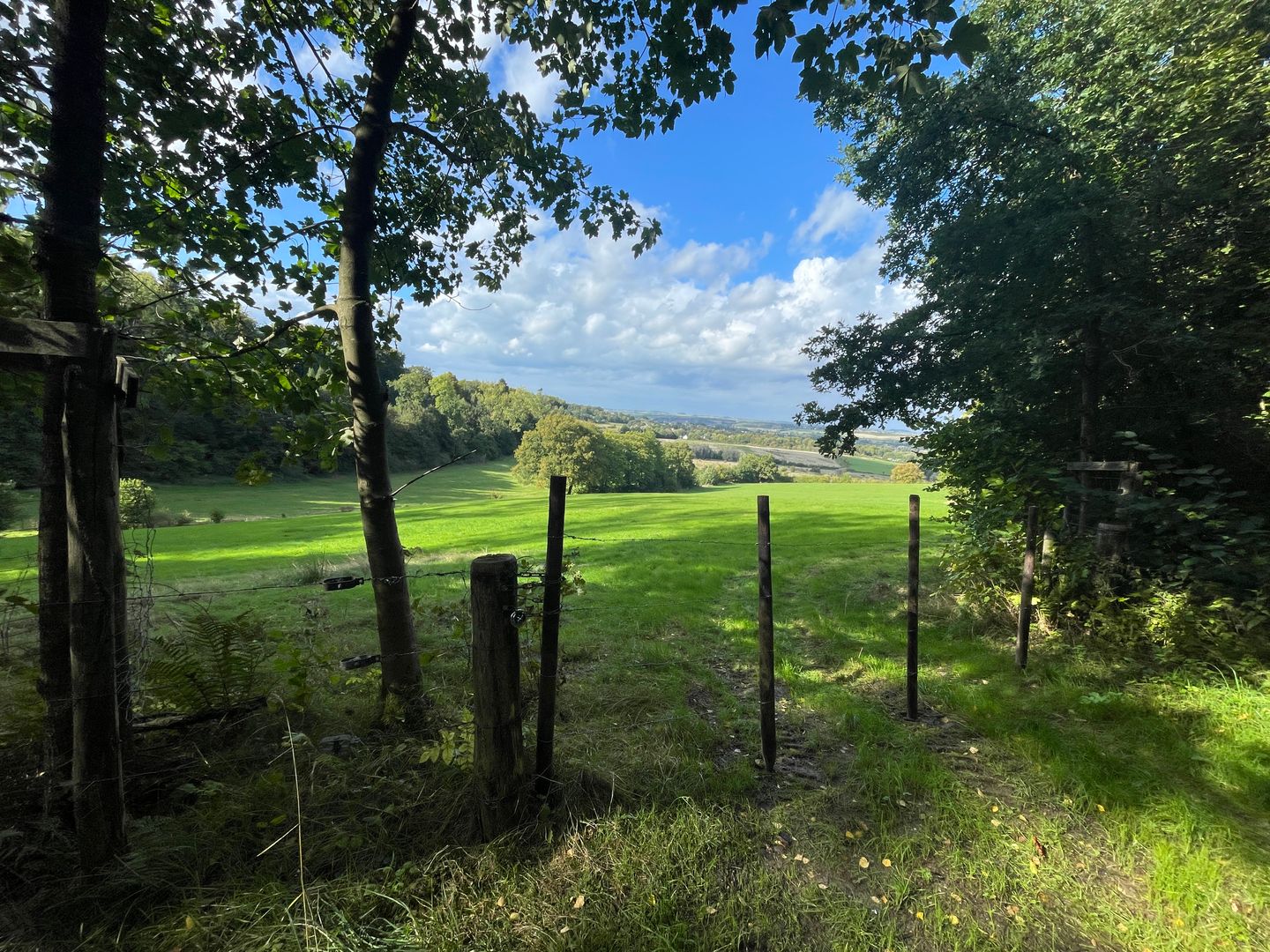 Bekijk foto 2 van Meelenbroekerweg