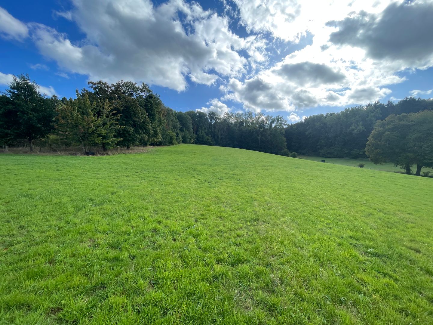 Bekijk foto 5 van Meelenbroekerweg