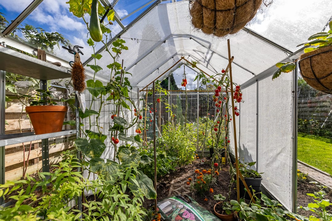 Foto 32 van Willem Bergstraat 24