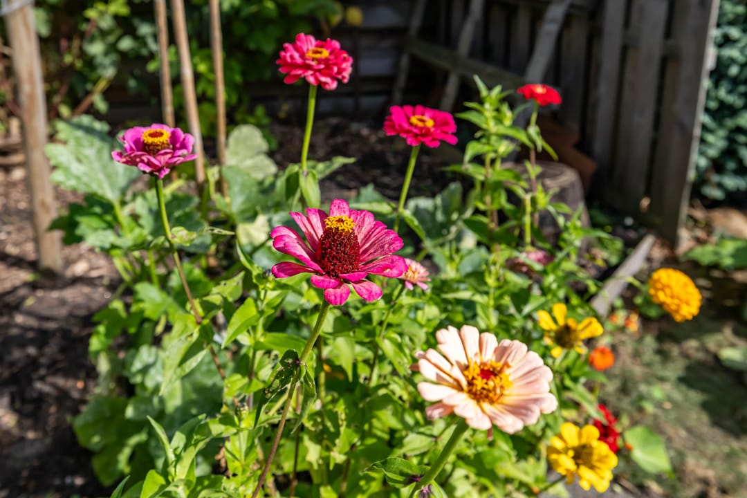 Foto 37 van Willem Bergstraat 24