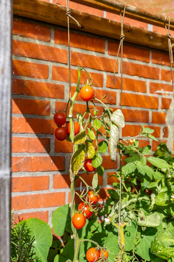 Foto 39 van Willem Bergstraat 24