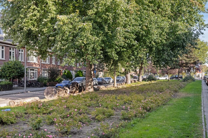 Foto 20 van De Quackstraat 60-B