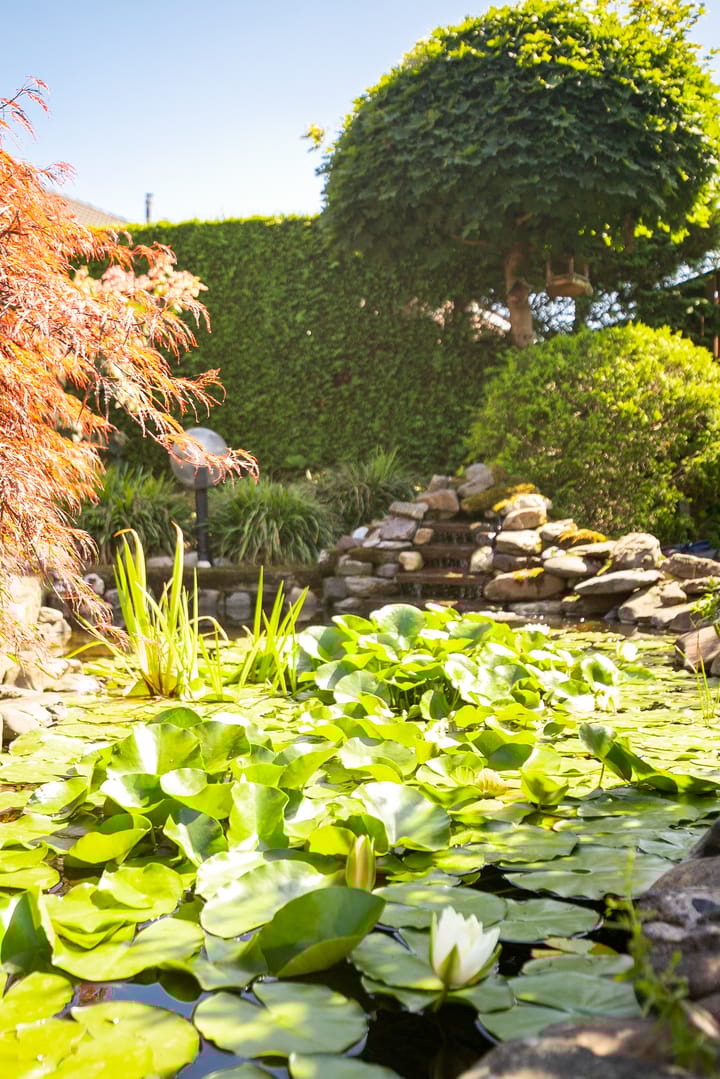 Photo 30 of Eikenlaan 19