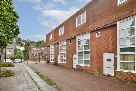 undefined main image