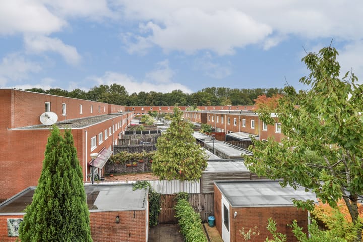 Foto 24 van Daan Roodenburghplein 44