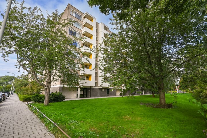 Foto 3 van Suzannaland 164