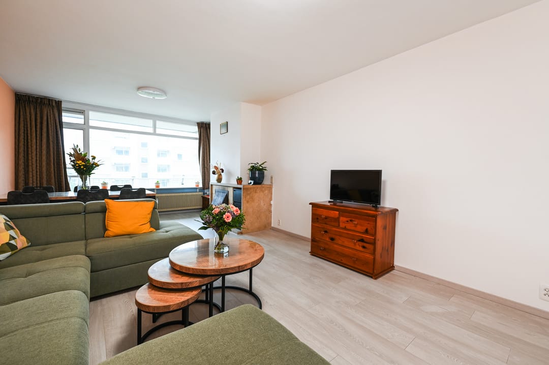 Photo 8 of Suzannaland 164