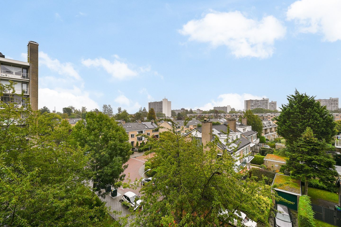 Photo 19 of Suzannaland 164