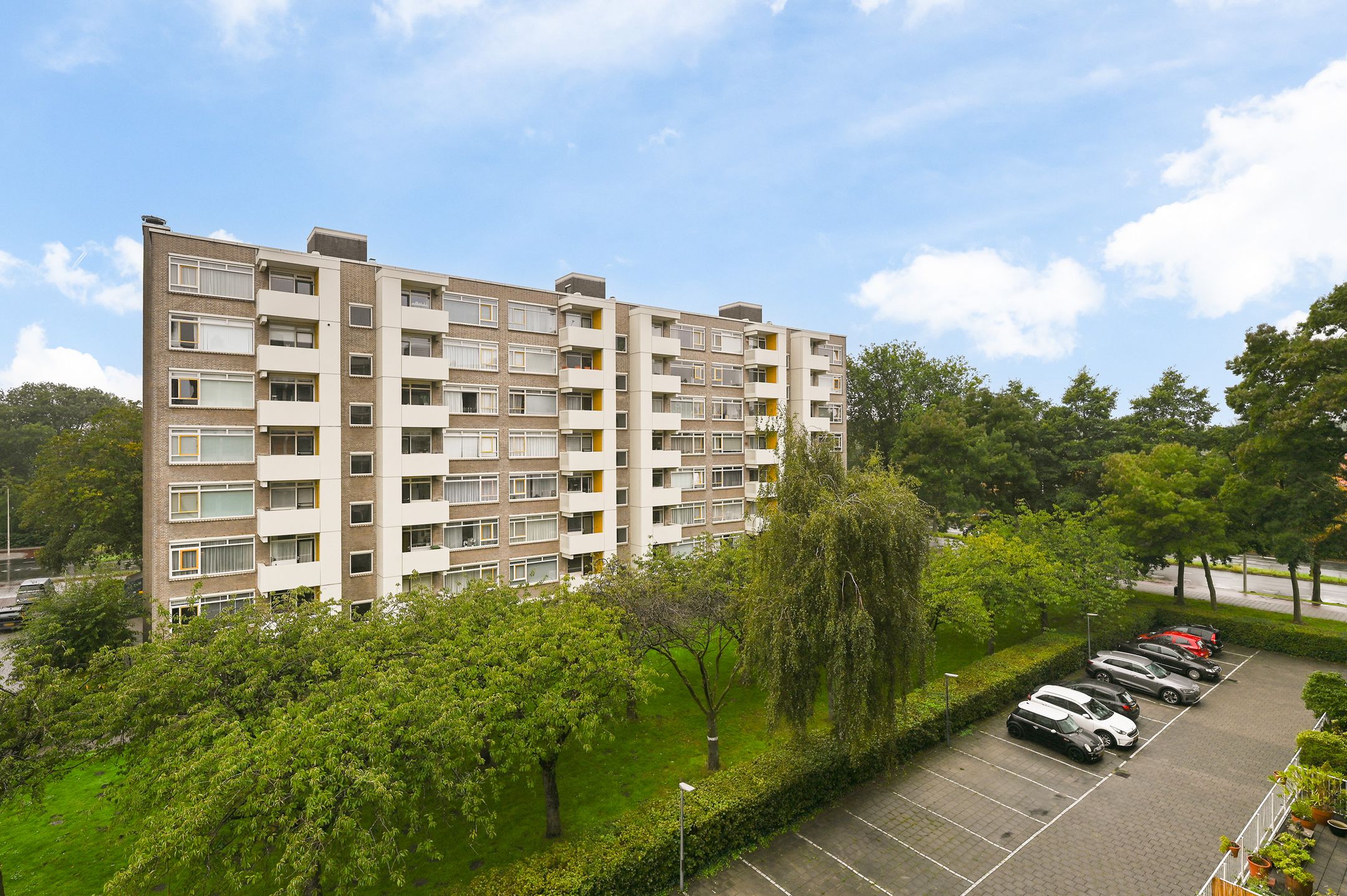 Photo 24 of Suzannaland 164