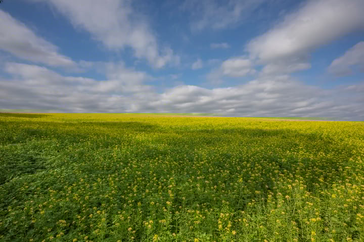 Foto 31 van Raadhuisstraat 34