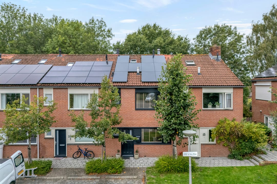 Foto 1 van Zilverschoon 222