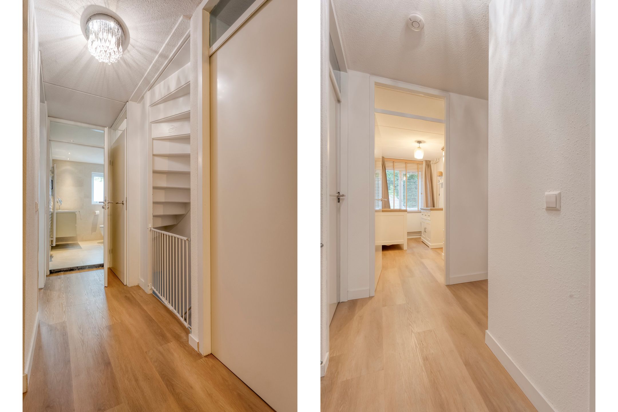 Foto 12 van Zilverschoon 222