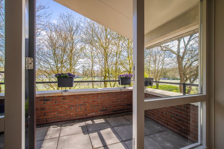 Foto 4 van Scheidiuslaan 56