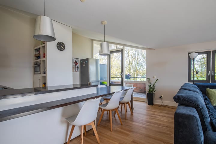 Foto 12 van Scheidiuslaan 56