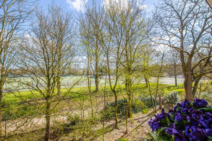 Foto 19 van Scheidiuslaan 56