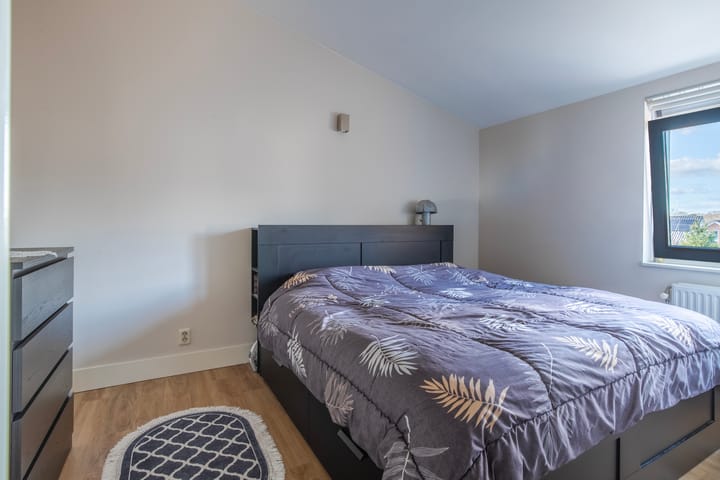 Foto 20 van Scheidiuslaan 56