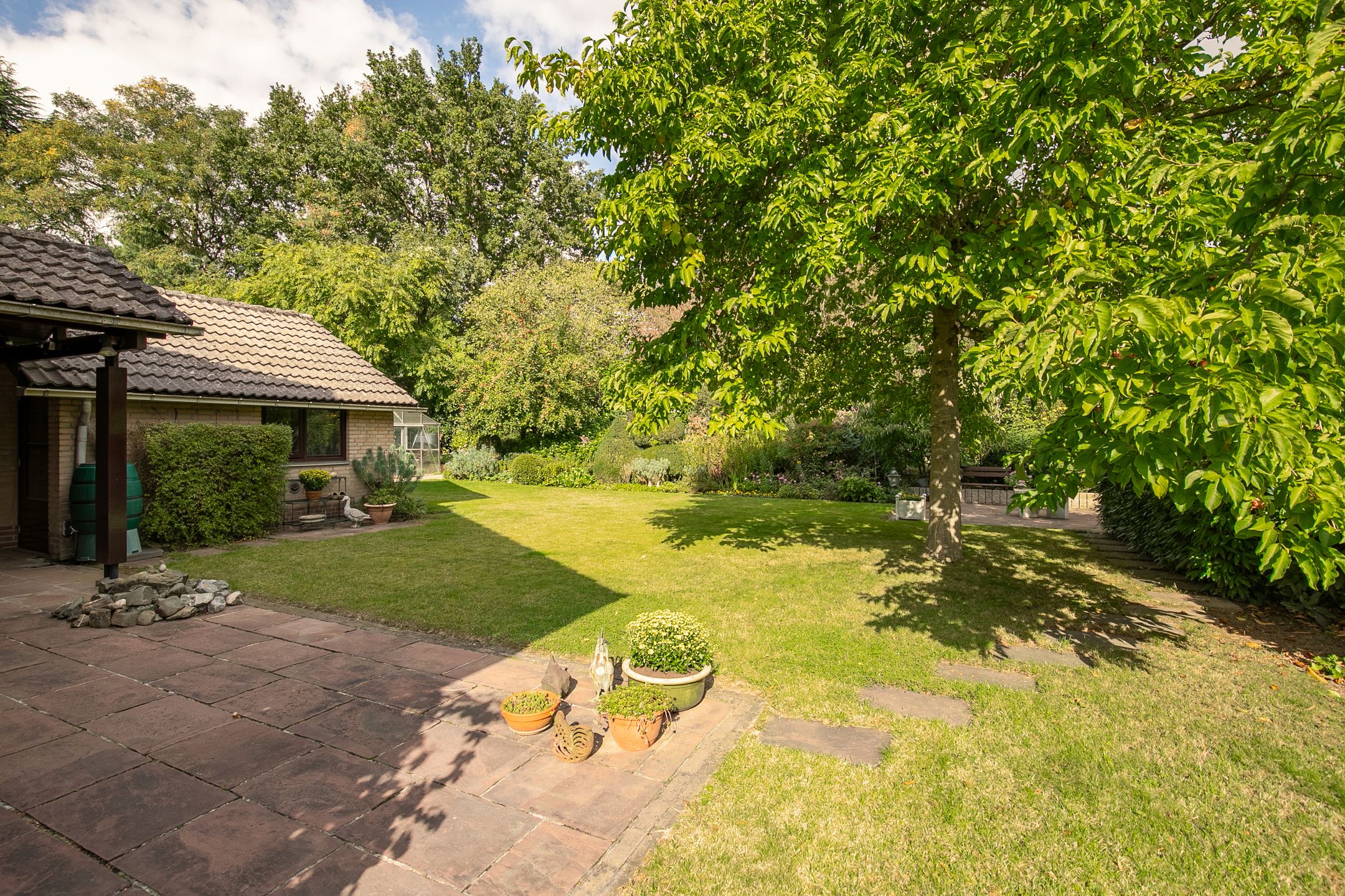 Foto 21 van Way Broek 7