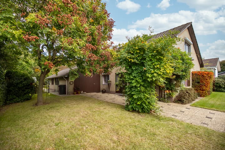 Foto 24 van Way Broek 7