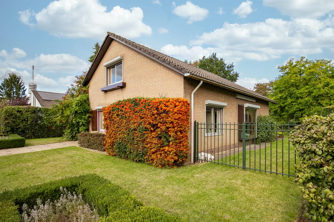 Foto 28 van Way Broek 7