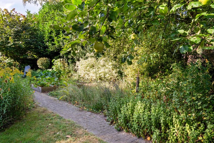 Foto 40 van Dorpsstraat 34