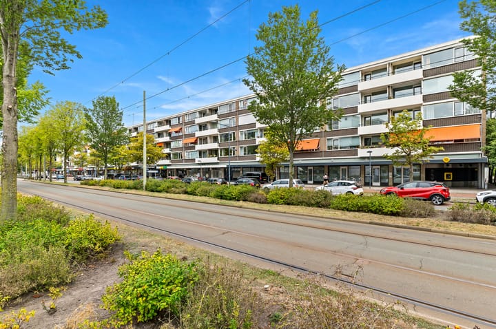 Foto 3 van Papsouwselaan 267